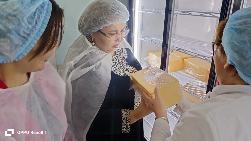 Бракераж комиссиясының тексеру жұмысының қорытындысы